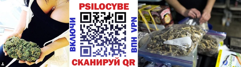 hydra онион  Кедровый  Галлюциногенные грибы MAGIC MUSHROOMS 